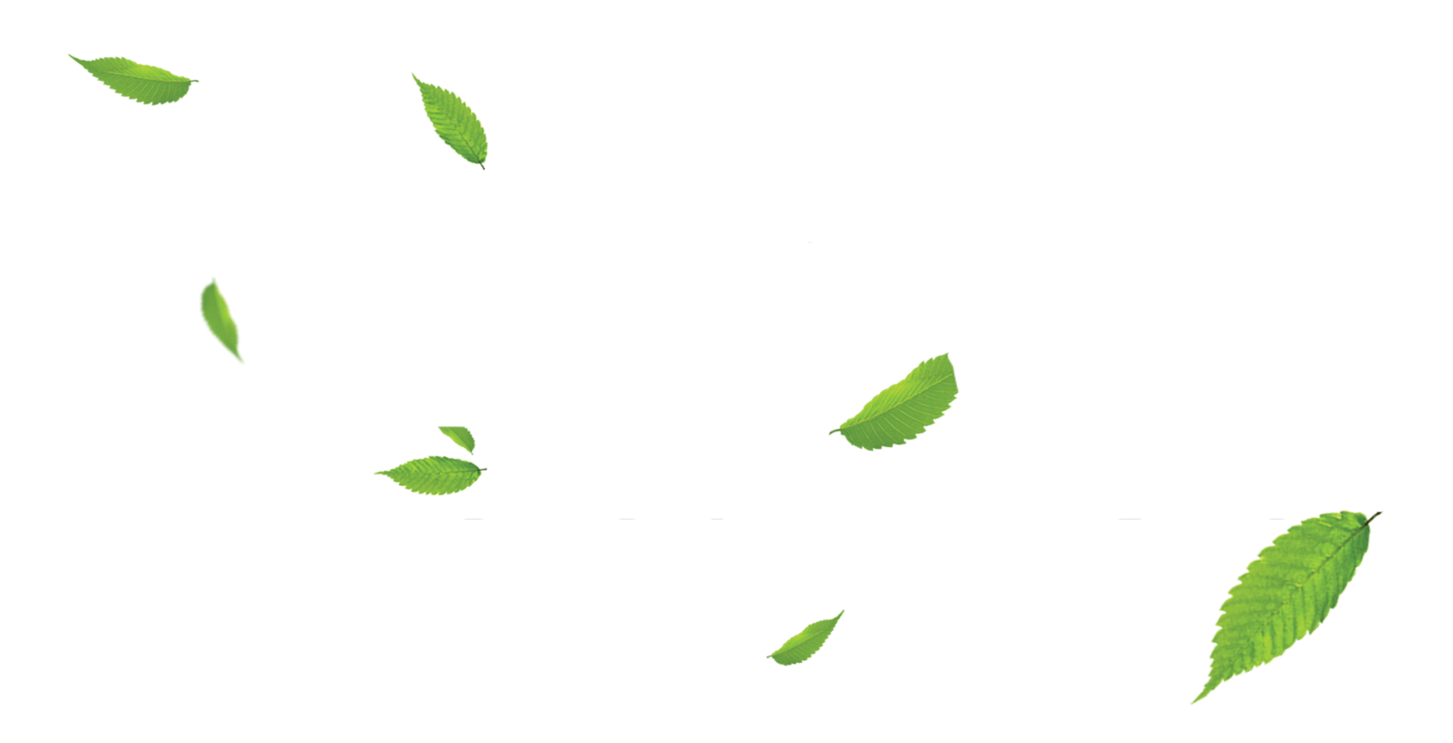 Healiio